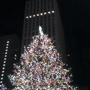 Meet your Posher, Dianna